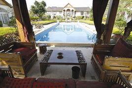 海王宫老板爆料视频大全  第1张